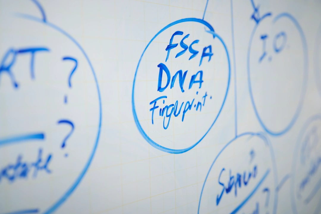 Criminal Defence Lawyers Adelaide